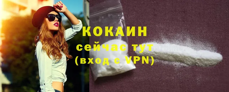 COCAIN Эквадор Новое Девяткино